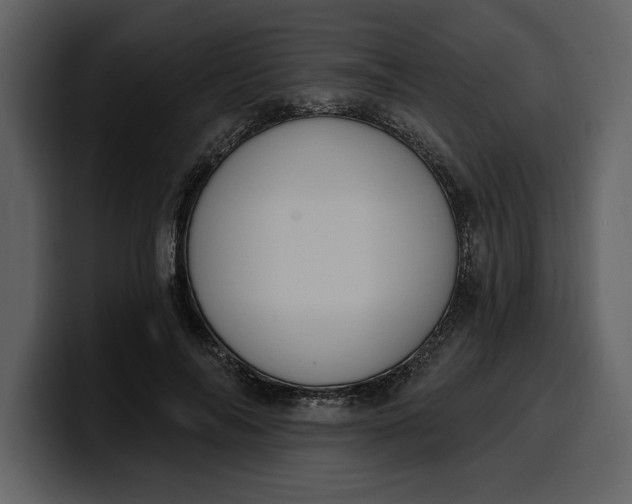 X0000100320694200806191003