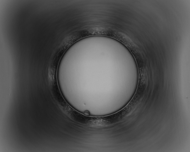 X0000100320695200806191003