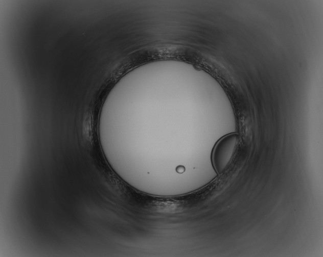 X0000100320698200806191003