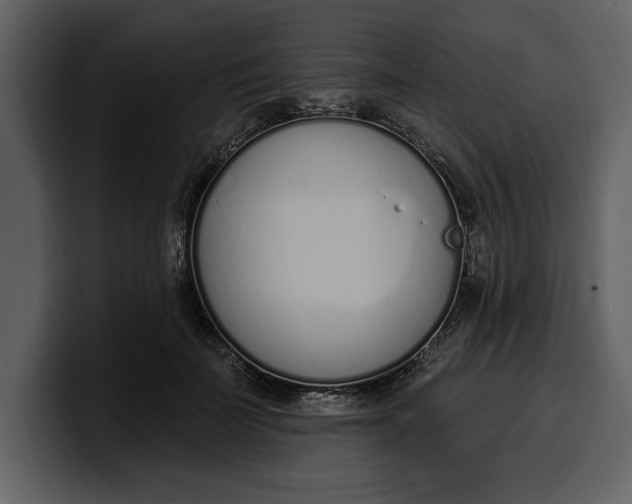 X0000100320699200806191003