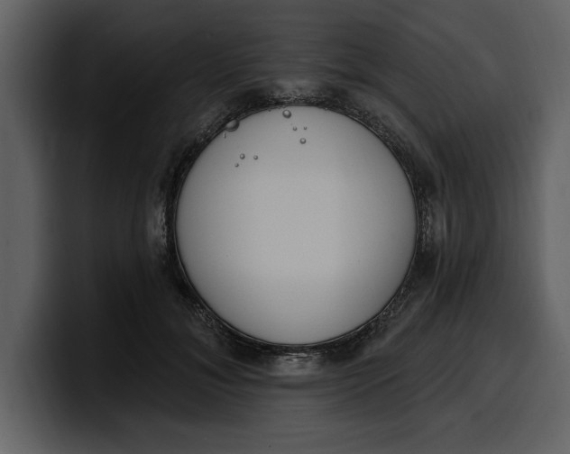 X0000100320700200806191003