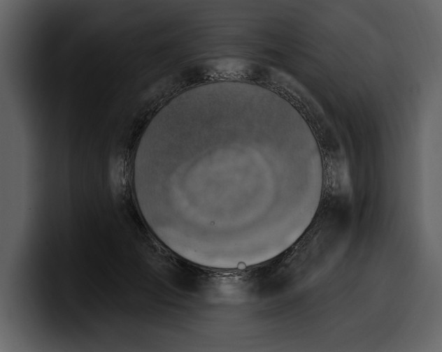 X0000100320701200806191003