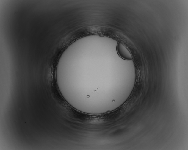 X0000100320702200806191003