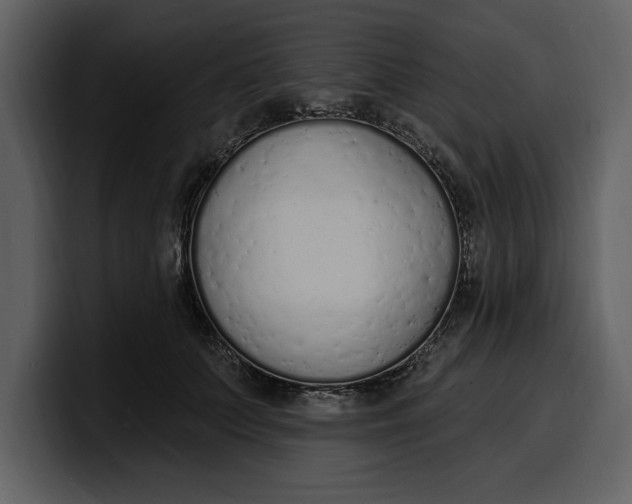 X0000100320703200806191003