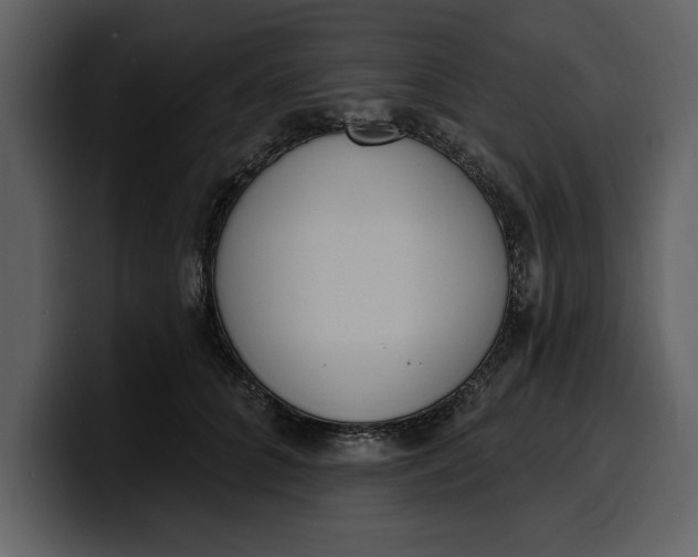 X0000100320704200806191003