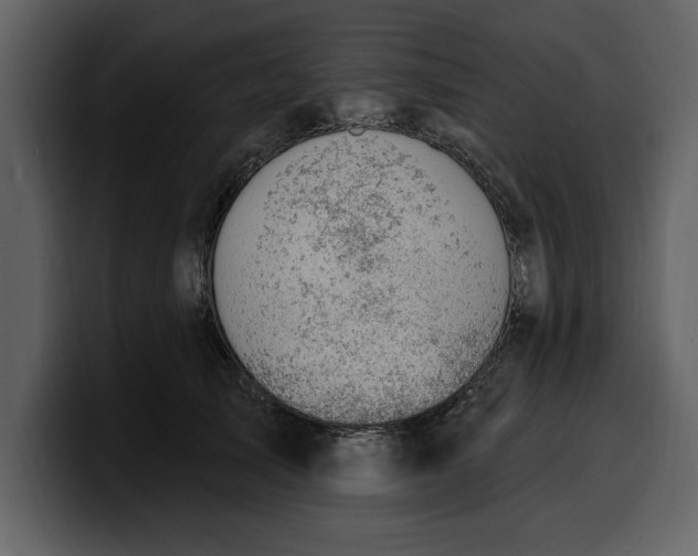 X0000100320705200806191003