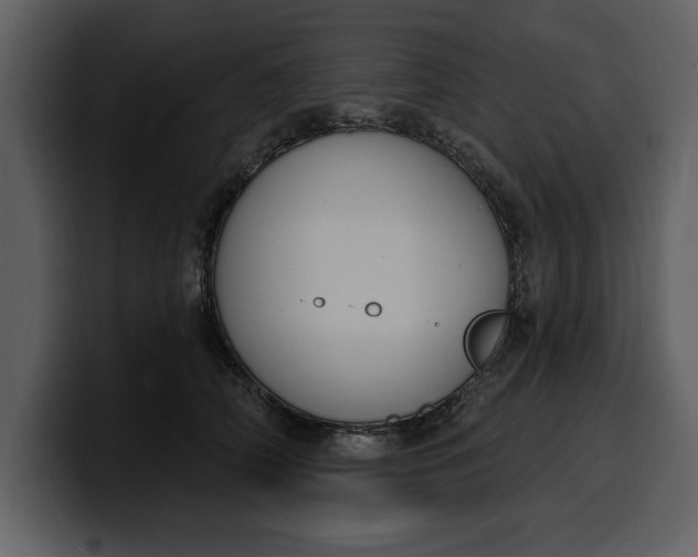 X0000100320706200806191003