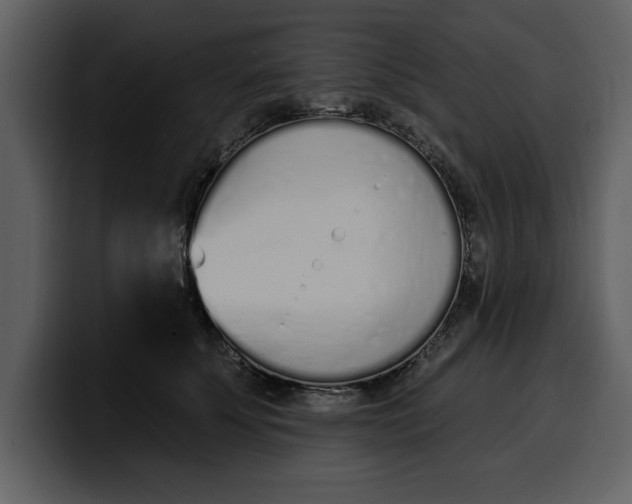 X0000100320707200806191003