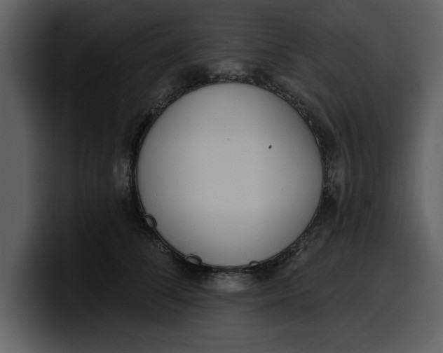 X0000100320708200806191003