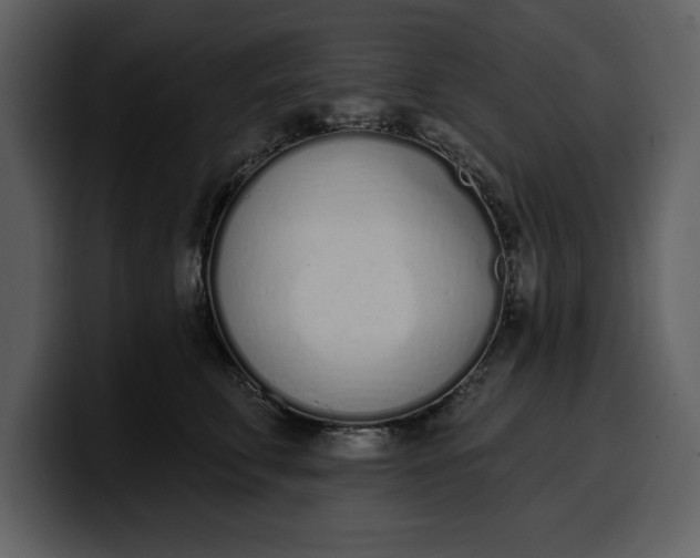 X0000100320711200806191003