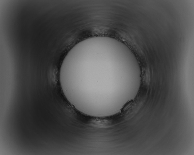 X0000100320712200806191003