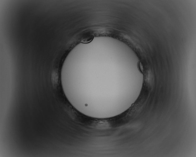 X0000100320715200806191003