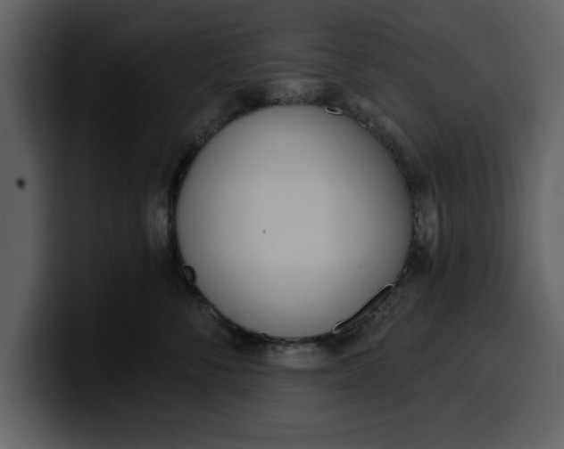 X0000100320716200806191003