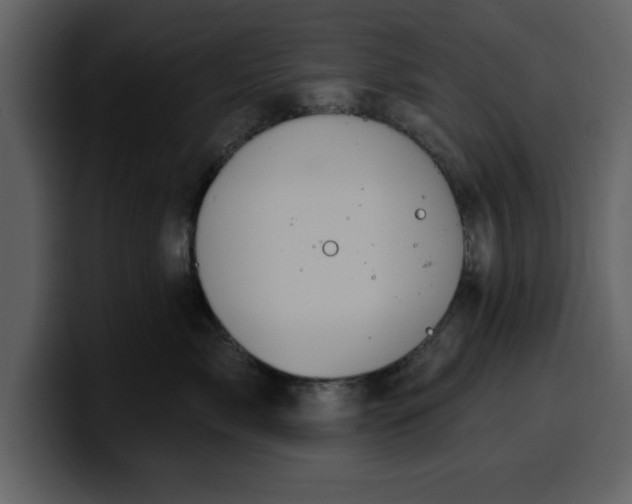 X0000100320717200806191003