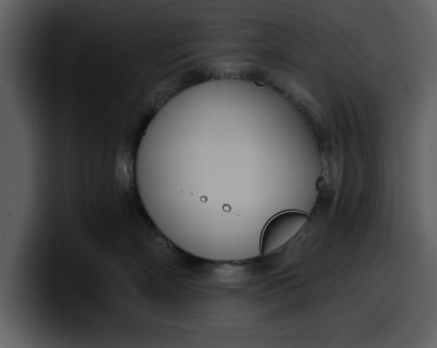 X0000100320718200806191003