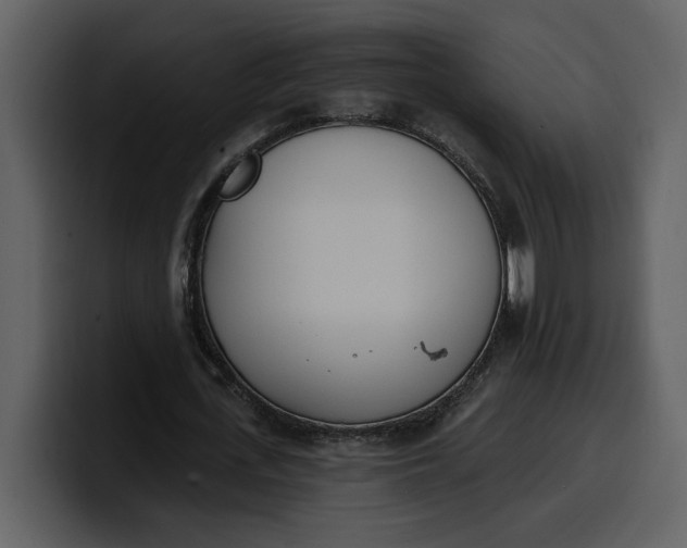 X0000100320723200806191002