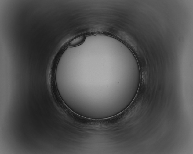 X0000100320724200806191002