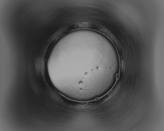 X0000100320725200806191002