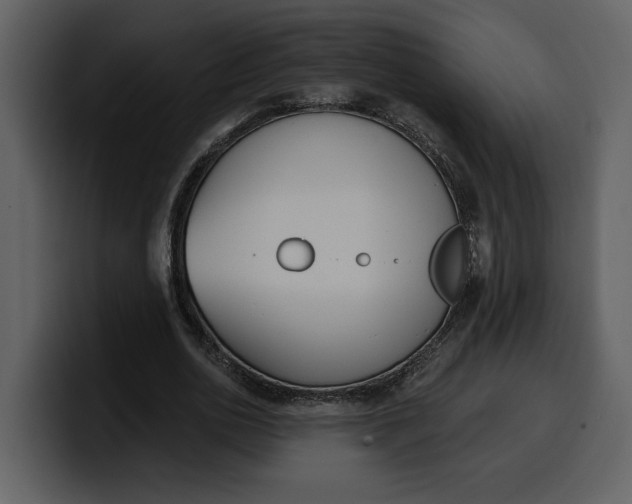 X0000100320726200806191002