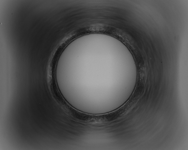 X0000100320727200806191002