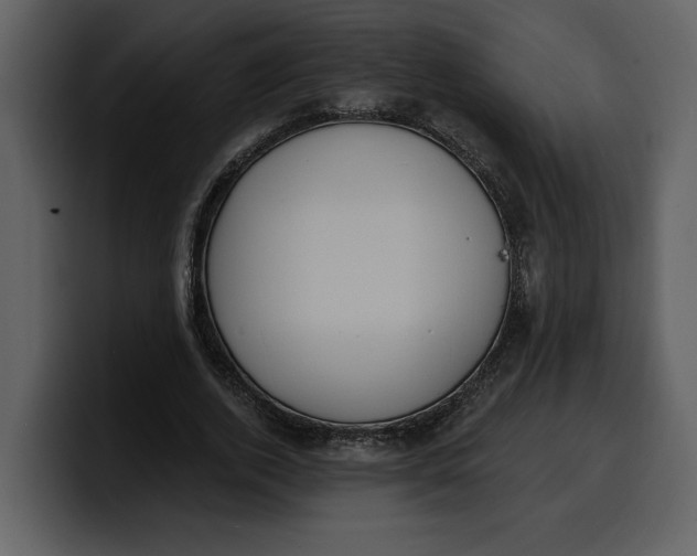 X0000100320728200806191002