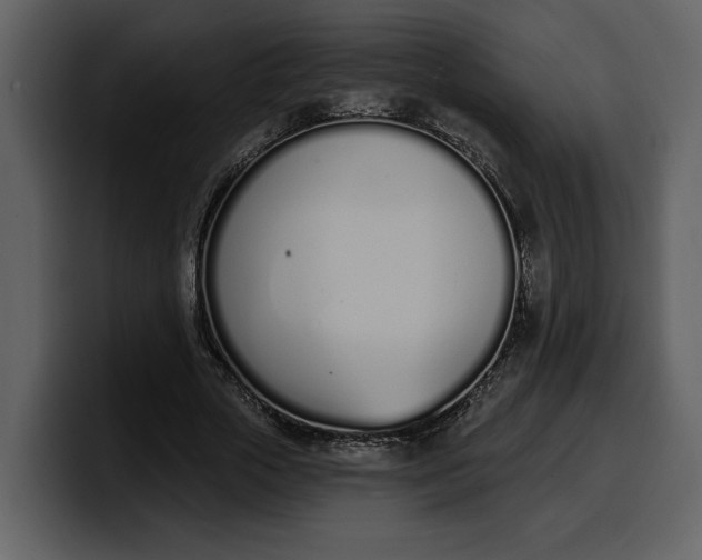 X0000100320729200806191002