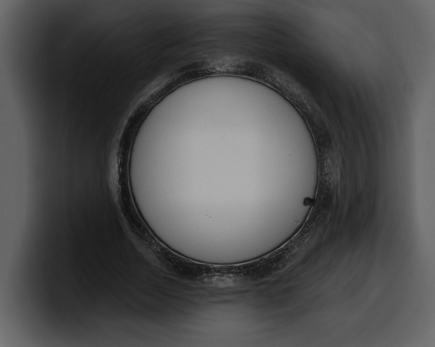 X0000100320730200806191002