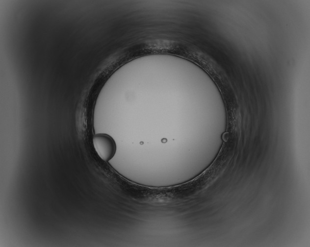 X0000100320731200806191002