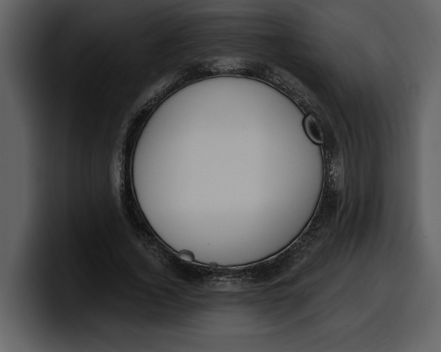 X0000100320732200806191002