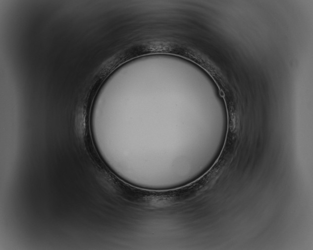 X0000100320733200806191002