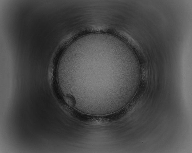 X0000100320736200806191002