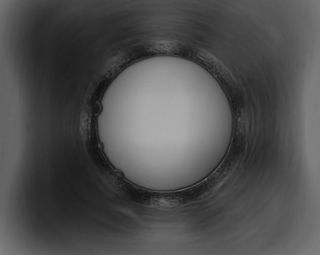 X0000100320739200806191003