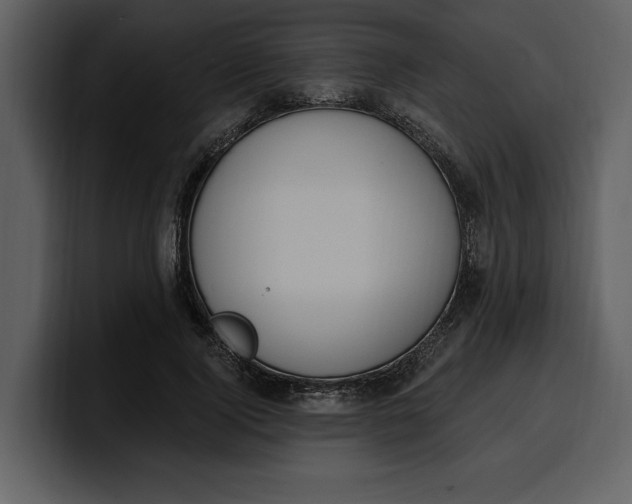 X0000100320740200806191003