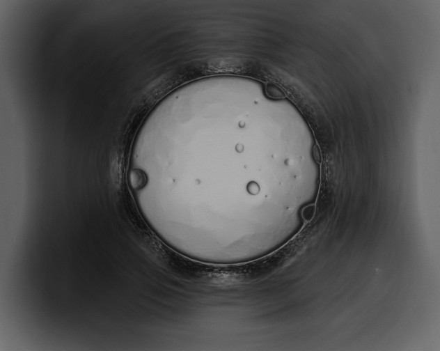 X0000100320741200806191003