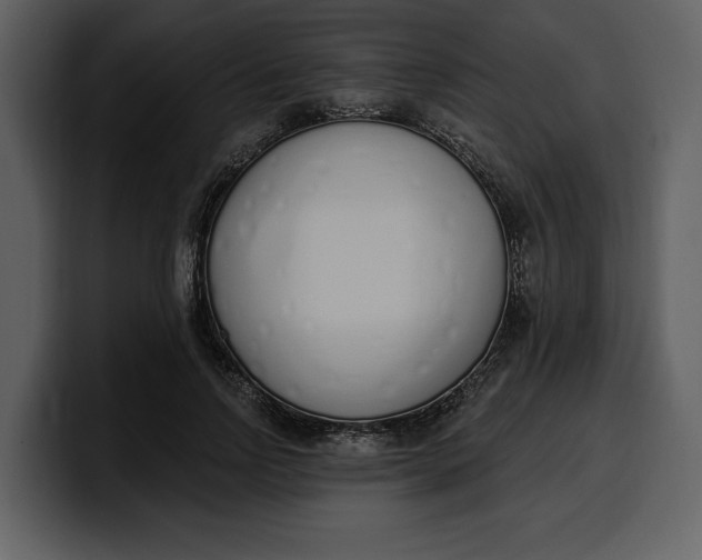 X0000100320742200806191003