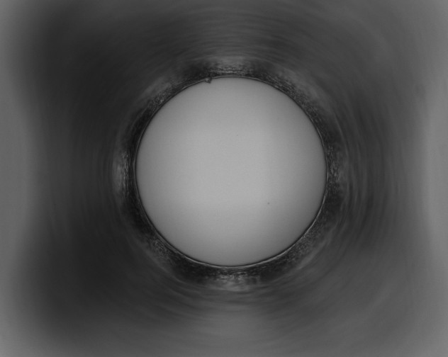 X0000100320744200806191003