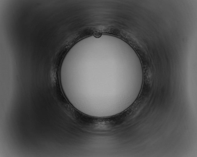 X0000100320746200806191003