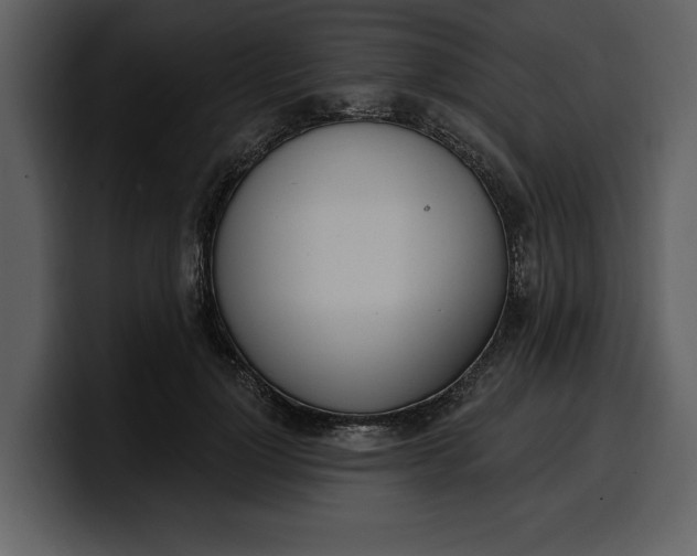 X0000100320748200806191003