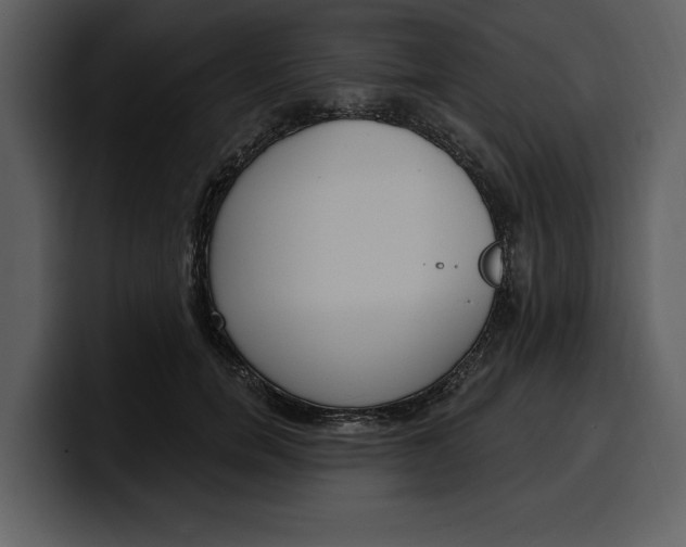 X0000100320750200806191003