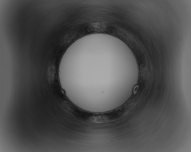 X0000100320752200806191003