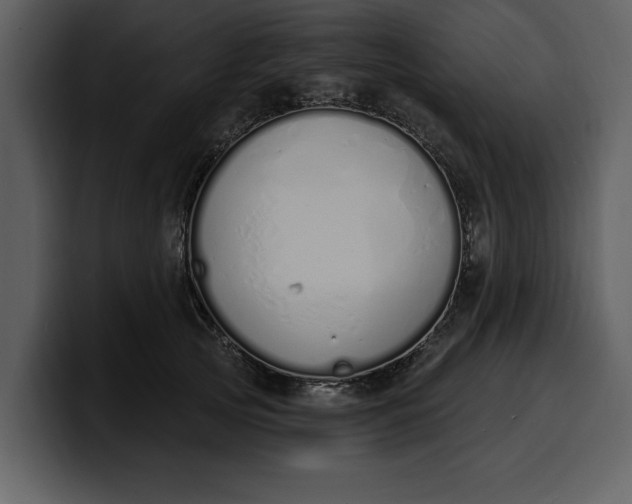 X0000100320753200806191003