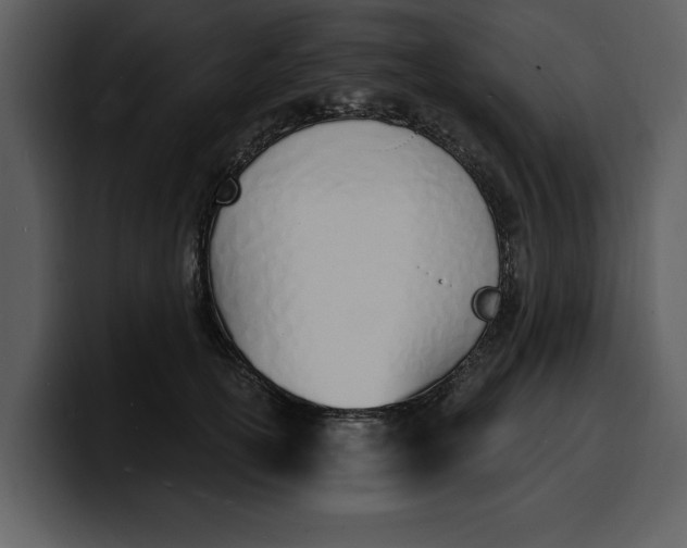 X0000100320754200806191003