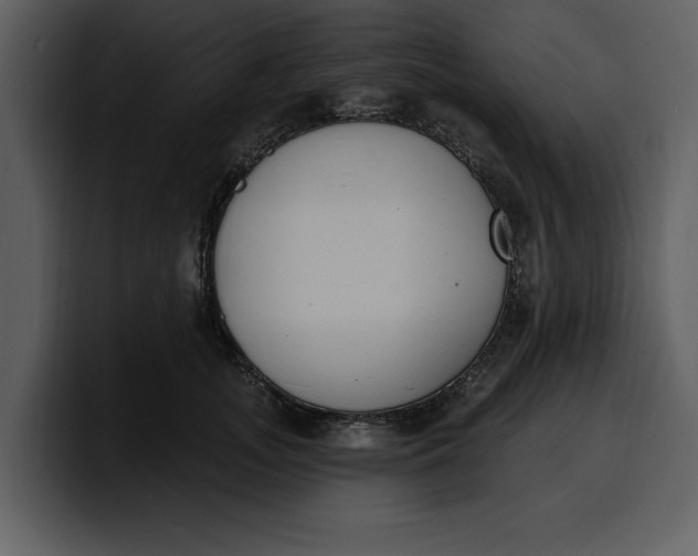 X0000100320755200806191003