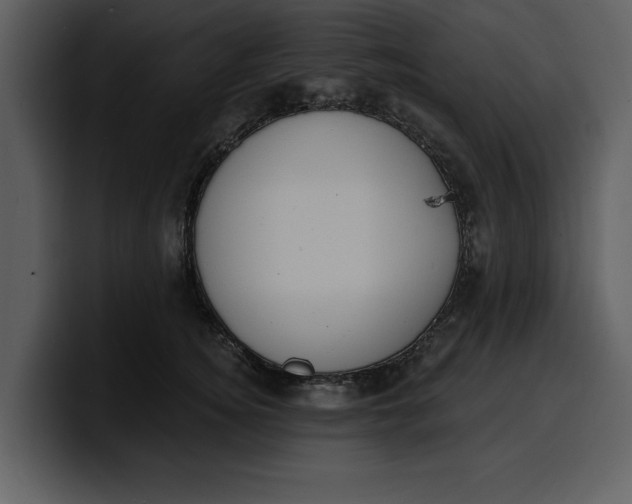 X0000100320756200806191003