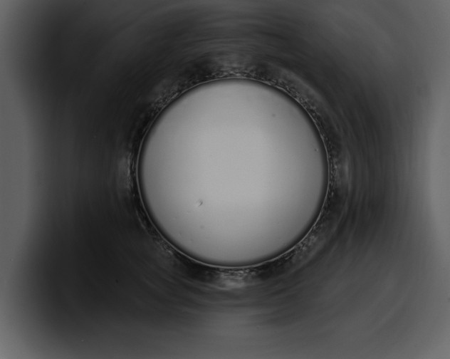 X0000100320757200806191003