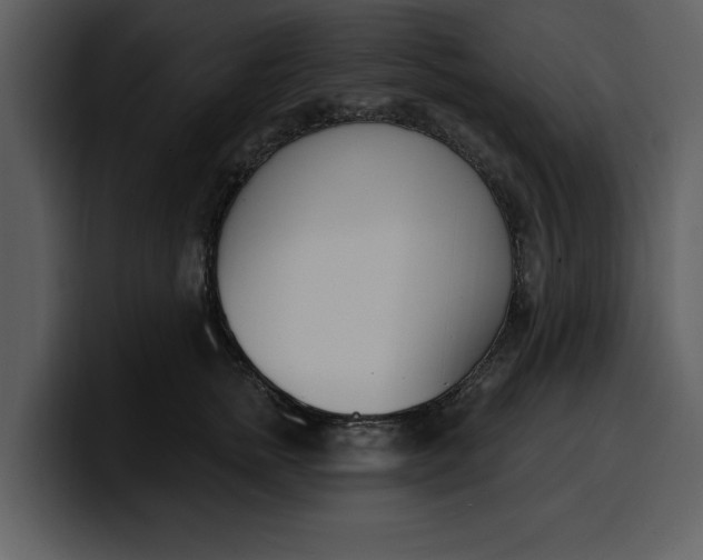 X0000100320758200806191003