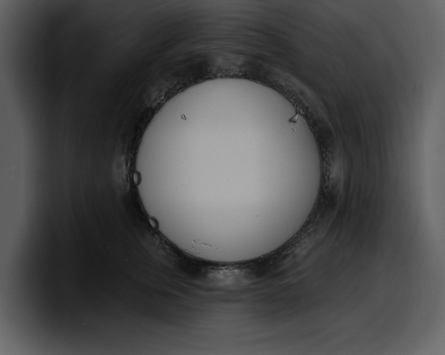 X0000100320759200806191003