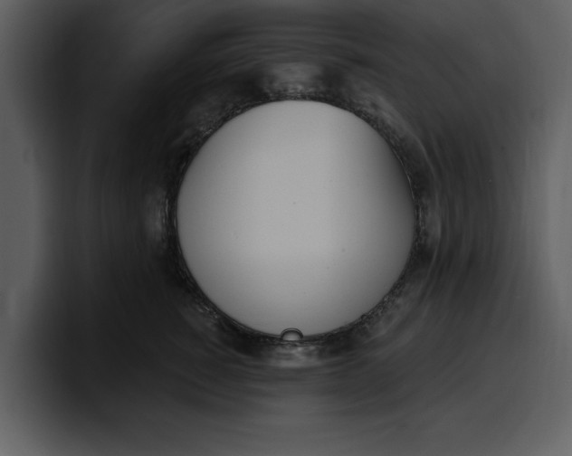 X0000100320760200806191003