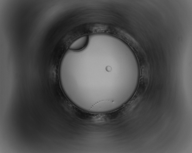 X0000100320761200806191003