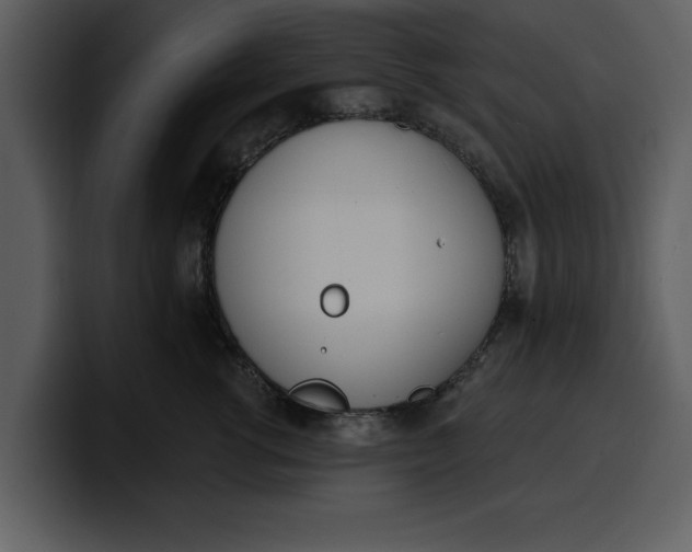 X0000100320762200806191003